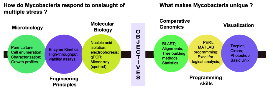 ArunPrasanna_skills_PhD